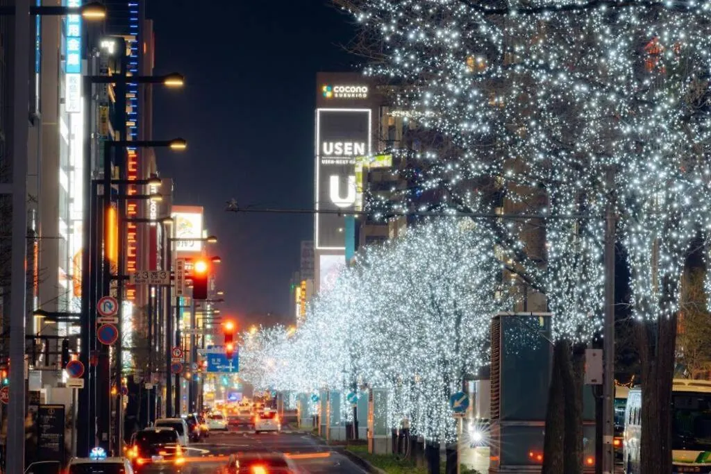 Lumiere Vista Villa Sapporo